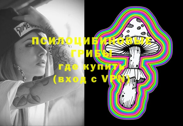 стаф Медвежьегорск