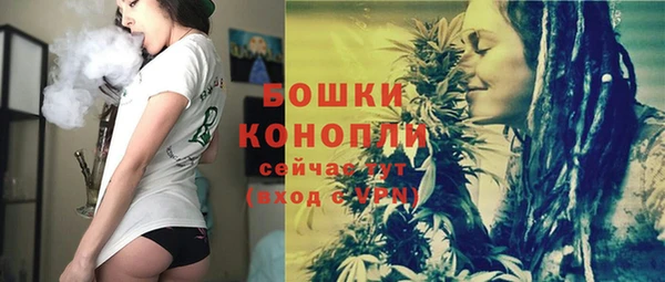 стаф Медвежьегорск