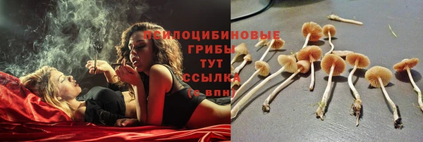 стаф Медвежьегорск