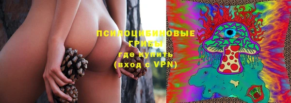 мяу мяу мука Медногорск