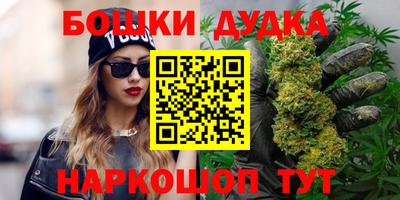 стаф Пенза