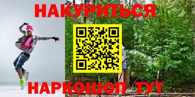 стаф Пенза