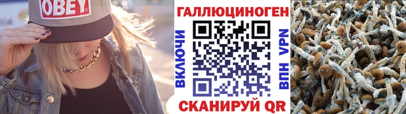 Псилоцибиновые грибы ЛСД  Отрадный 