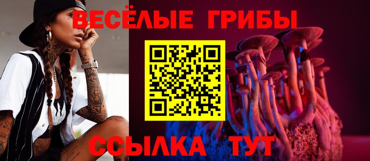 Псилоцибиновые грибы ЛСД Отрадный
