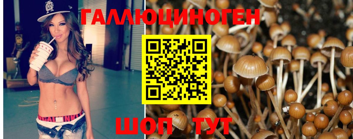 Псилоцибиновые грибы мухоморы  Псилоцибиновые грибы GOLDEN TEACHER  Отрадный  купить наркотик  Вход с VPN 