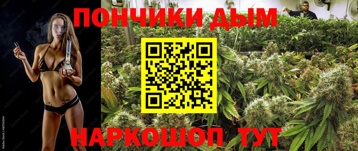 Шишки марихуана White Widow  Вход с VPN  Конопля VHQ  Бошки марихуана AK-47  Отрадный 