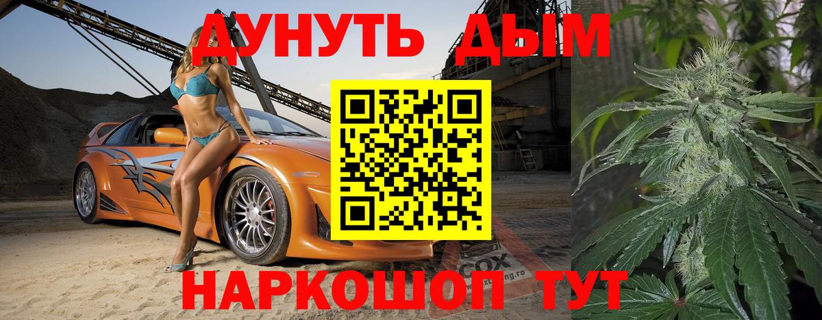 Каннабис планчик Отрадный